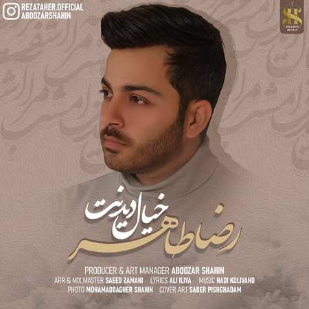 دانلود آهنگ خیال دیدنت از رضا طاهر